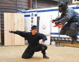 Iga-ryu Ninja Show