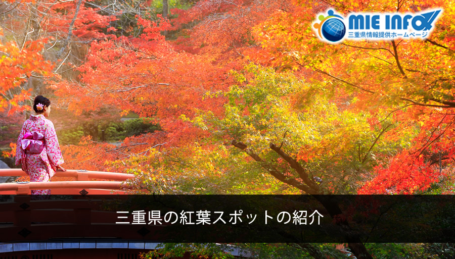 japan-mieken-autumn
