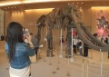 ２０１４年４月１９日（土）「県民の日」記念事業と三重県総合博物館MieMuの開館