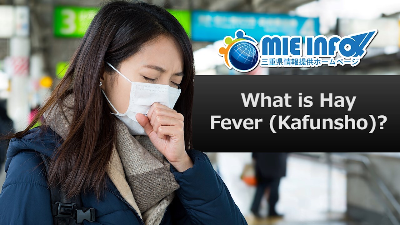 What is Hay Fever (Kafunsho)?