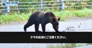 请注意熊的出没