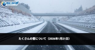 Aviso de mucha nieve (21 de enero de 2026)