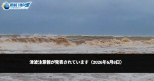 Alerta de tsunami (8 de junio de 2026)