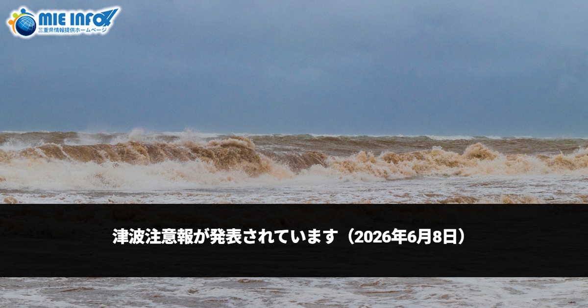 Alerta de Tsunami (8 de junho de 2026)