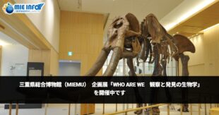 Museo General de la Prefectura de Mie (MieMu): actualmente se celebra la exposición especial “WHO ARE WE – Biología de la observación y el descubrimiento”