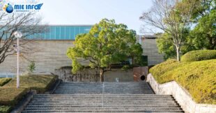 Mie Prefectural Art Museum Presents the “Y² project Mizuno Katsunori” Exhibition